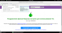 Tor Browser для Windows 10 32 bit